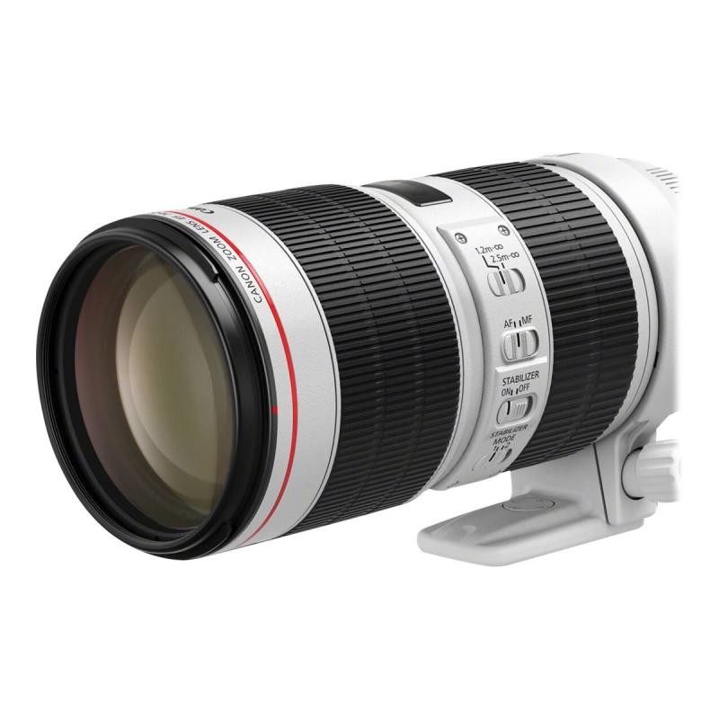 Canon EF Telezoomobjektiv 70 mm 200 mm (3044C005 )