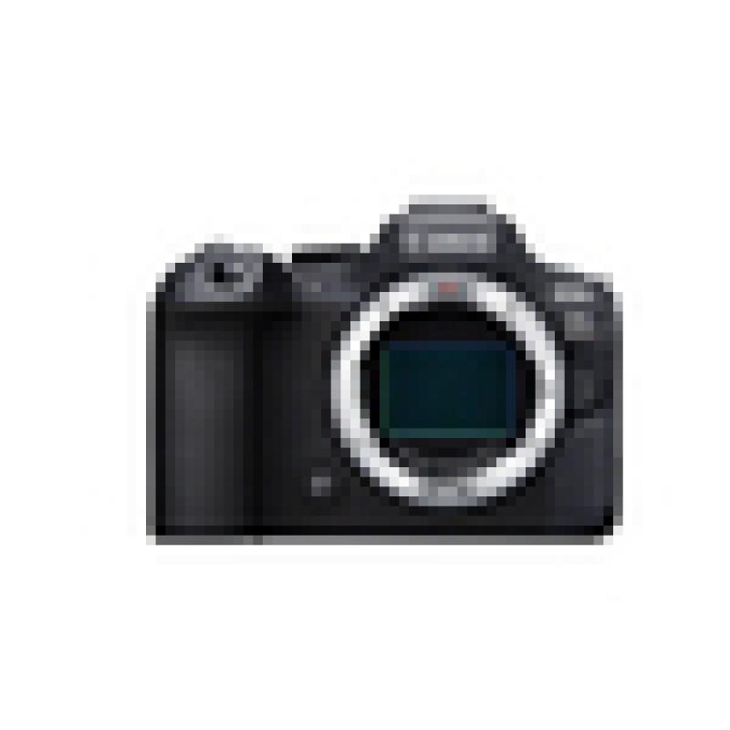 Canon EOS R6 Mark II 24,2 MP 6000 x 4000 Pixel (5666C004)