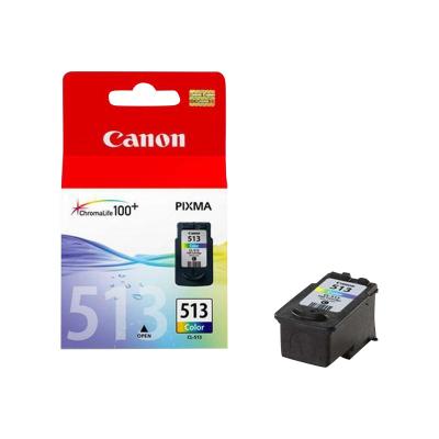 Canon Ink CL-513 CL513 Color HC (2971B001)