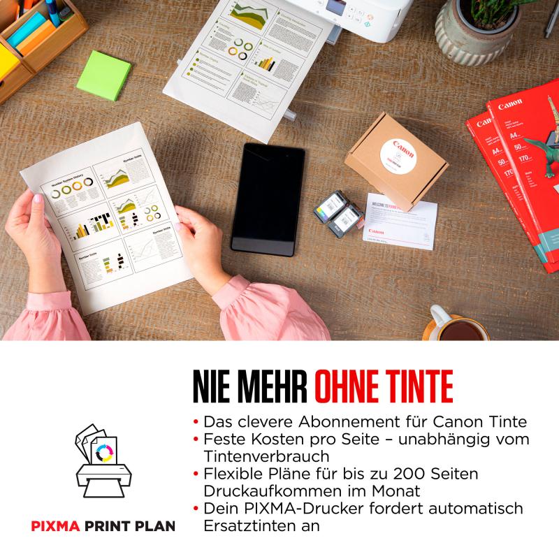 Canon PIXMA TS5351i Multifunktionsdrucker (4462C106)