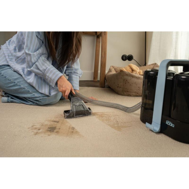 Clean Koala Carpetcleaner (8720892731579)