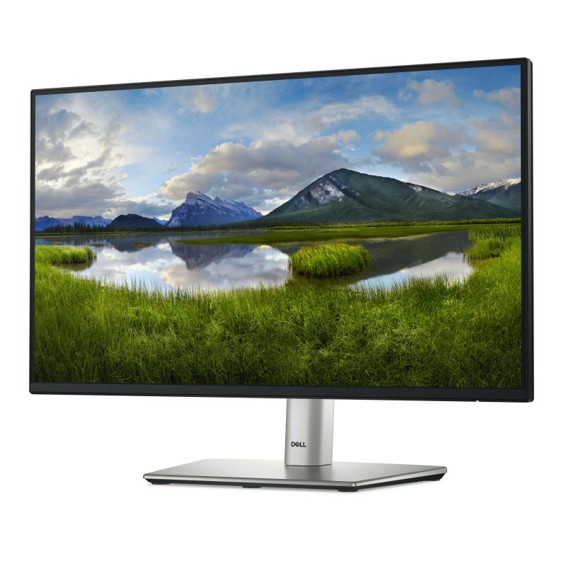 Dell Monitor P2225H (DELL-P2225H)