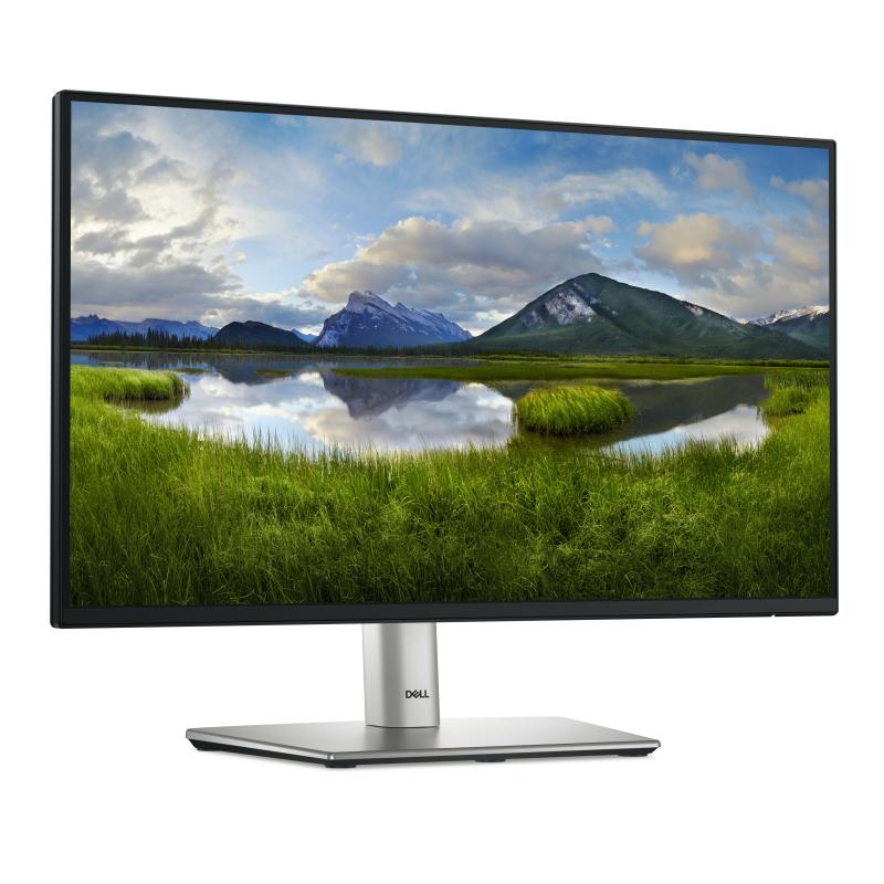 Dell Monitor P2225H (DELL-P2225H)