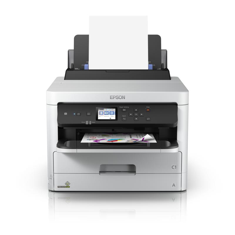 Epson Ink Black Schwarz XXL (C13T01D100)