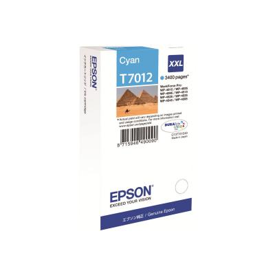 Epson Ink Cyan XXL (C13T70124010)