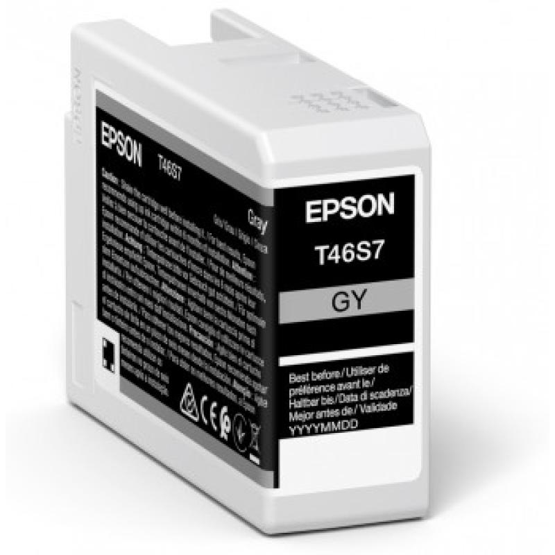 Epson Ink Gray (C13T46S700)