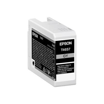 Epson Ink Gray (C13T46S700)
