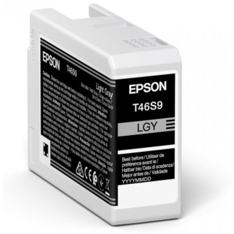 Epson Ink Light Gray (C13T46S900)