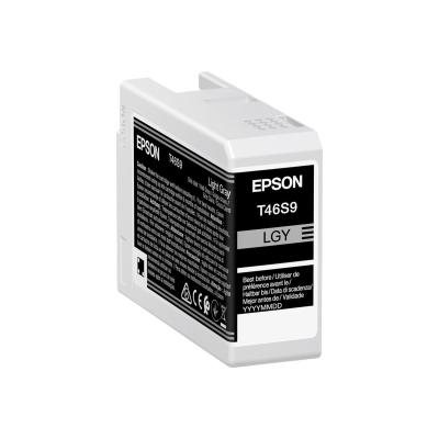 Epson Ink Light Gray (C13T46S900)