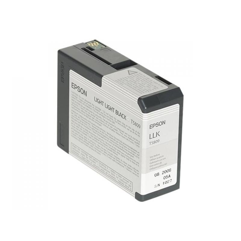Epson Ink Light Light Black Schwarz (C13T580900)