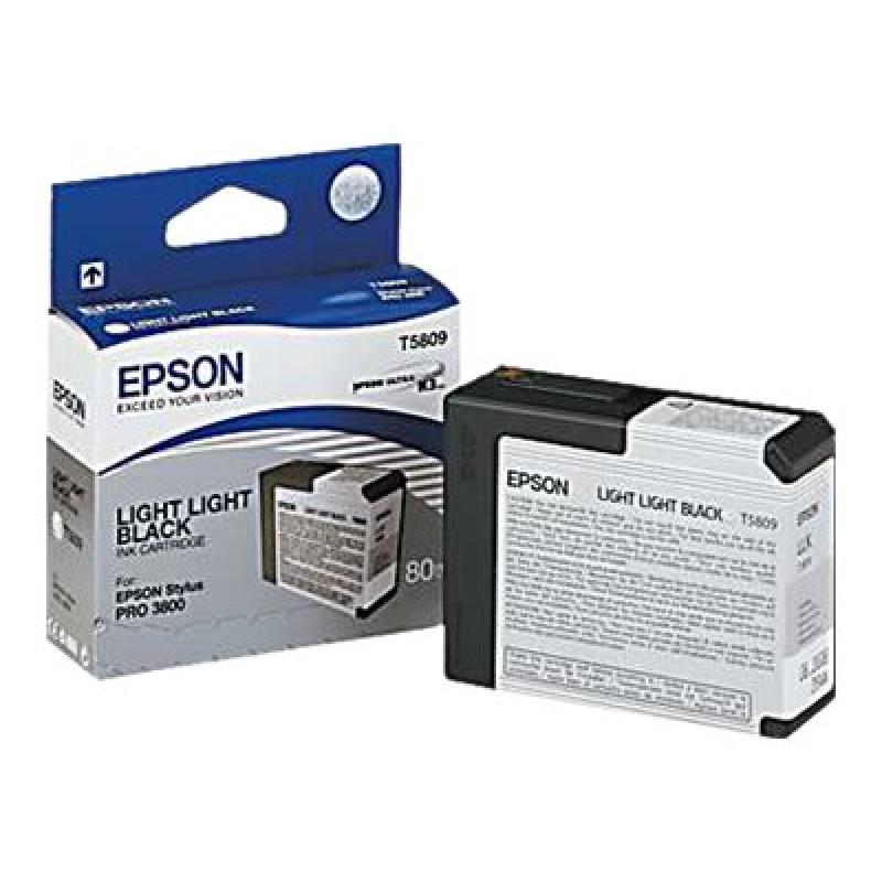 Epson Ink Light Light Black Schwarz (C13T580900)