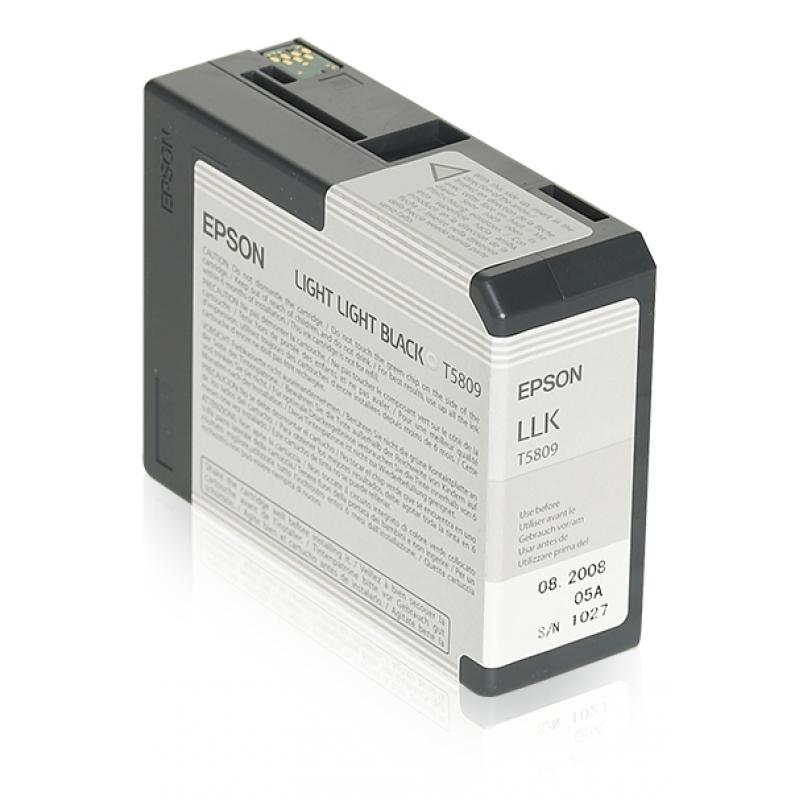 Epson Ink Light Light Black Schwarz (C13T580900)