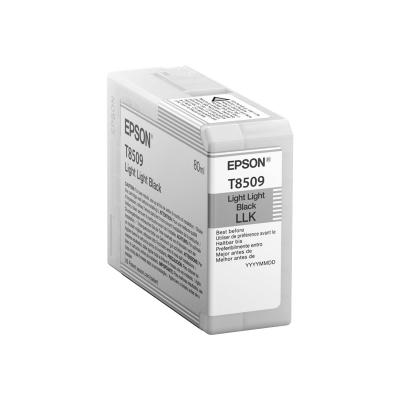Epson Ink Light Light Black Schwarz UltraChrome HD (C13T850900)