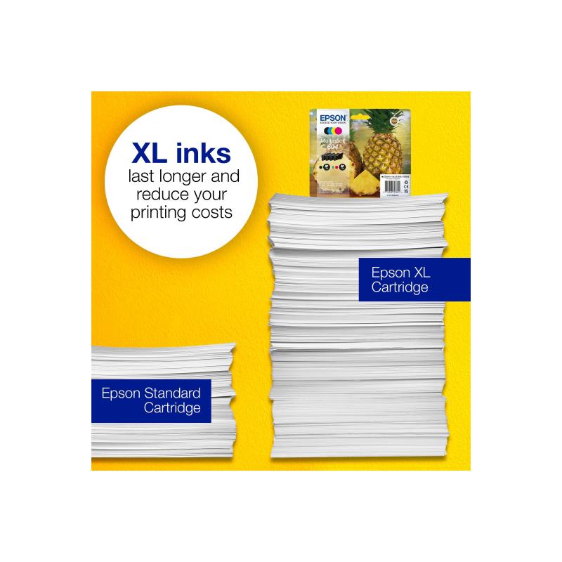 Epson Ink Multipack (C13T10G64020)