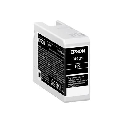 Epson Ink Photo Black Schwarz (C13T46S100)