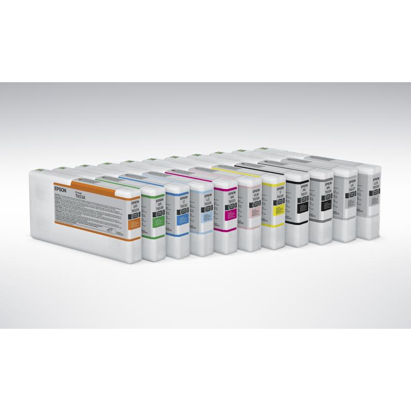 Epson Ink Photo Black Schwarz (C13T913100)