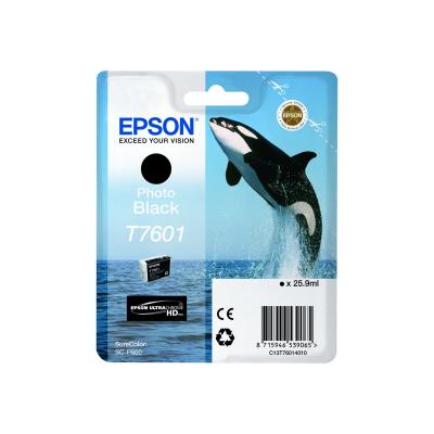 Epson Ink Photo Black Schwarz HC (C13T76014010)