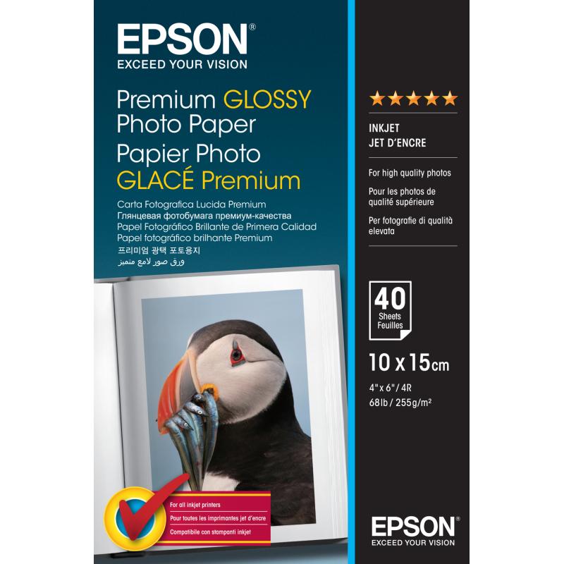 Epson Premium Glossy Paper (C13S042153)