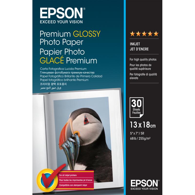 Epson Premium Glossy Paper (C13S042154)