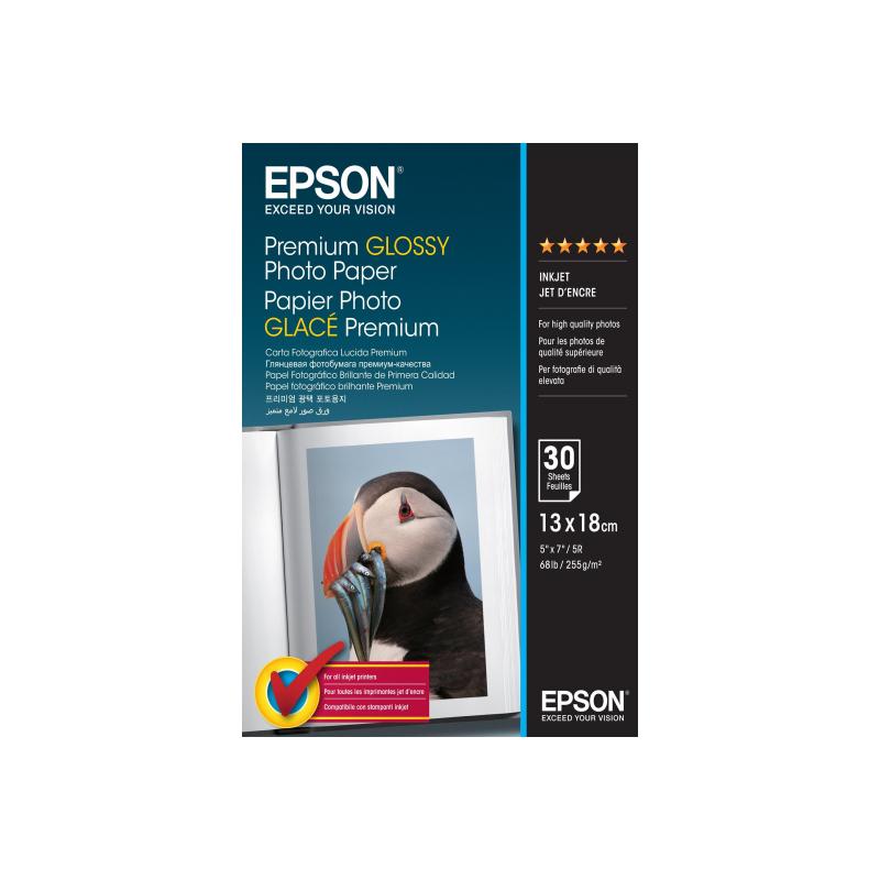 Epson Premium Glossy Paper (C13S042154)