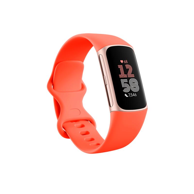 Fitbit Activitytracker Charge 6 champagne (GA05184-EU) (GA05184EU)