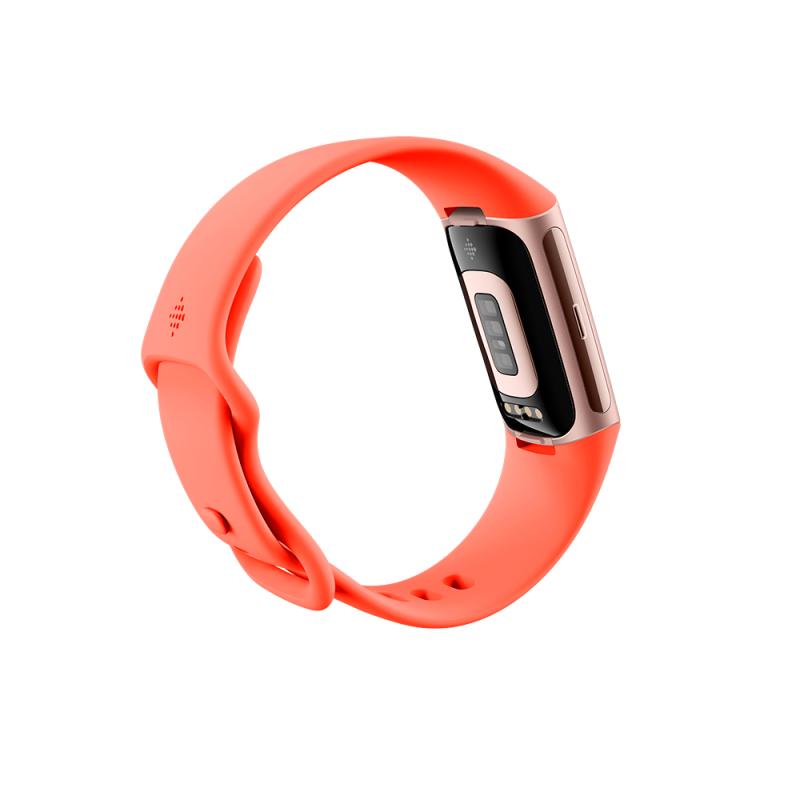 Fitbit Activitytracker Charge 6 champagne (GA05184-EU) (GA05184EU)