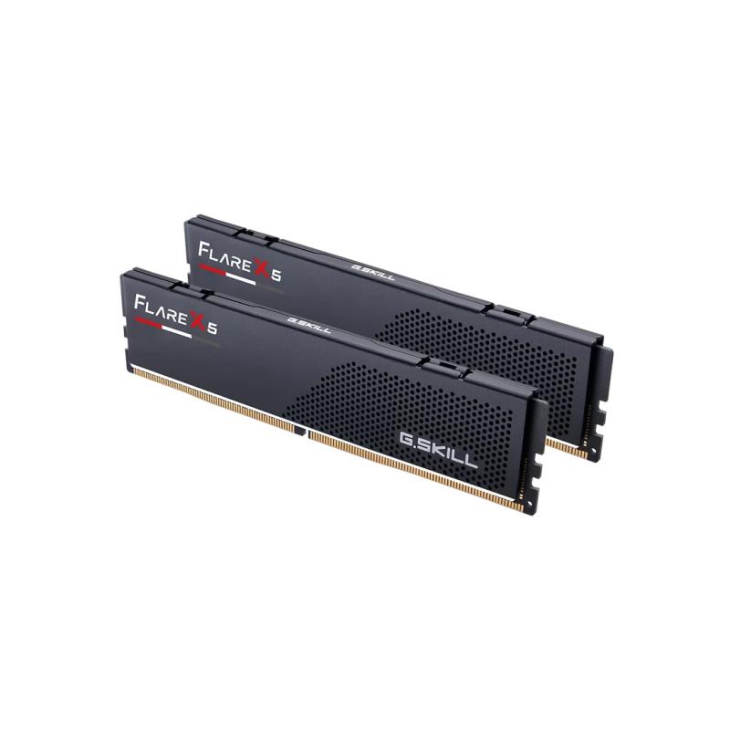 G Skill G.SKILLSkill G.SKILL Skill Flare X5 DDR5 32GB (2x16GB) 6000MHz (F5-6000J3636F16GX2-FX5) (F56000J3636F16GX2FX5)