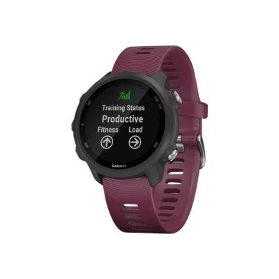 Garmin Smartwatch Forerunner 245 merlot black red (010-02120-11) (0100212011)