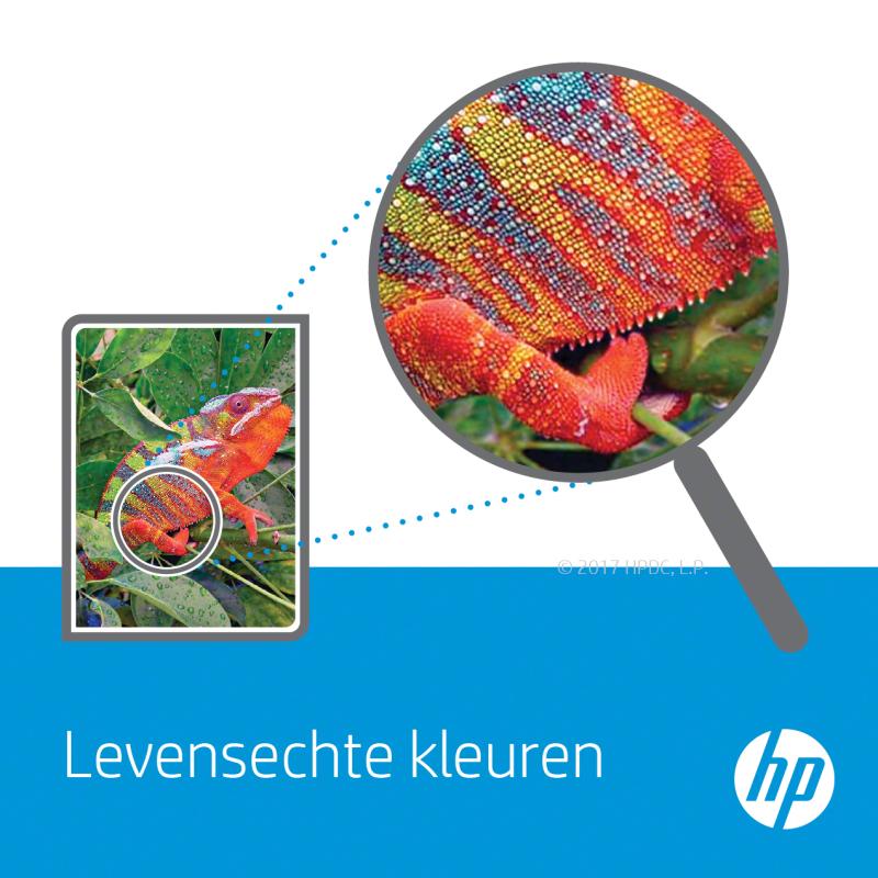 HP Black Schwarz Managed LaserJet Toner Cartridge (W9005MC)