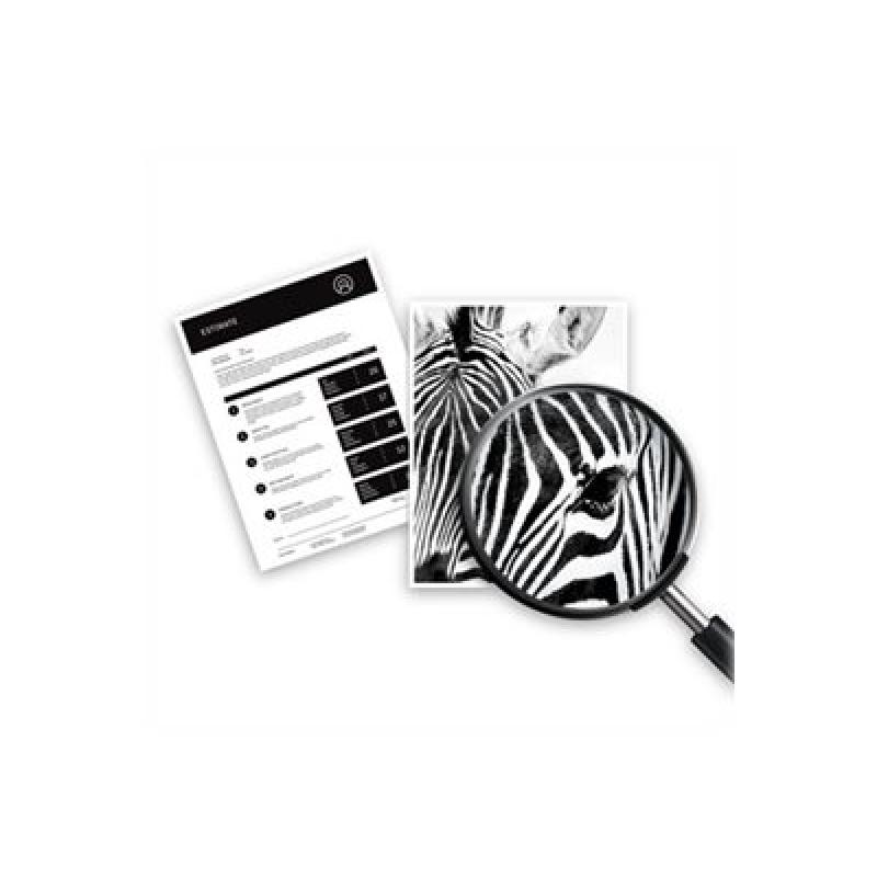 HP Ink No 308 Black Schwarz (7FP21UE)
