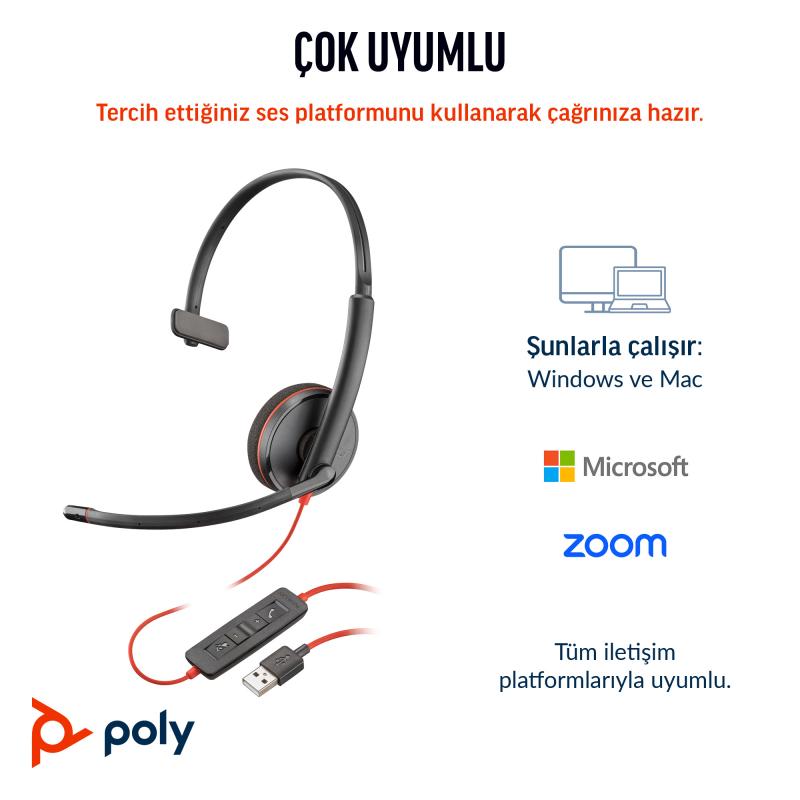 HP Poly Headset Blackwire 3210 USB-C A USBC A (8X2J8A6)