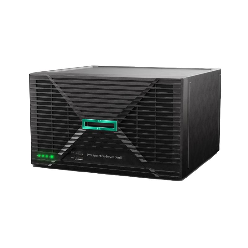 HPE ProLiant MicroServer Gen11 P75207-425 P75207425 (P75207-425)