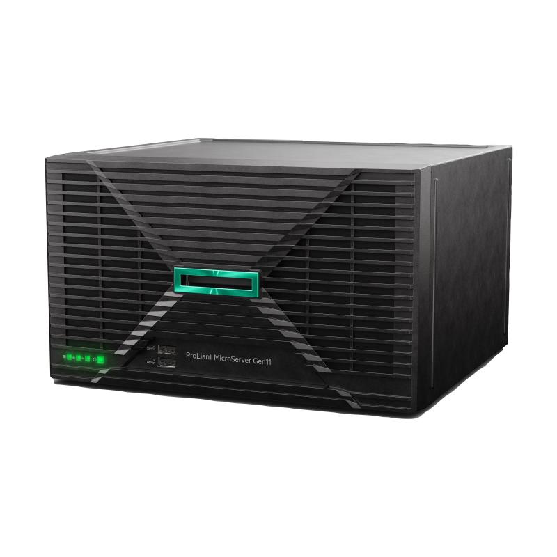 HPE ProLiant MicroServer Gen11 P75207-425 P75207425 (P75207-425)