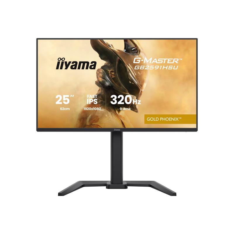 iiyama Monitor G-Master GMaster GB2591HSU-B1 GB2591HSUB1 (GB2591HSU-B1)