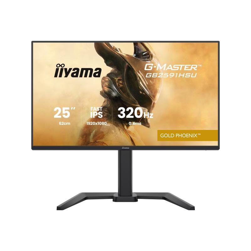 iiyama Monitor G-Master GMaster GB2591HSU-B1 GB2591HSUB1 (GB2591HSU-B1)