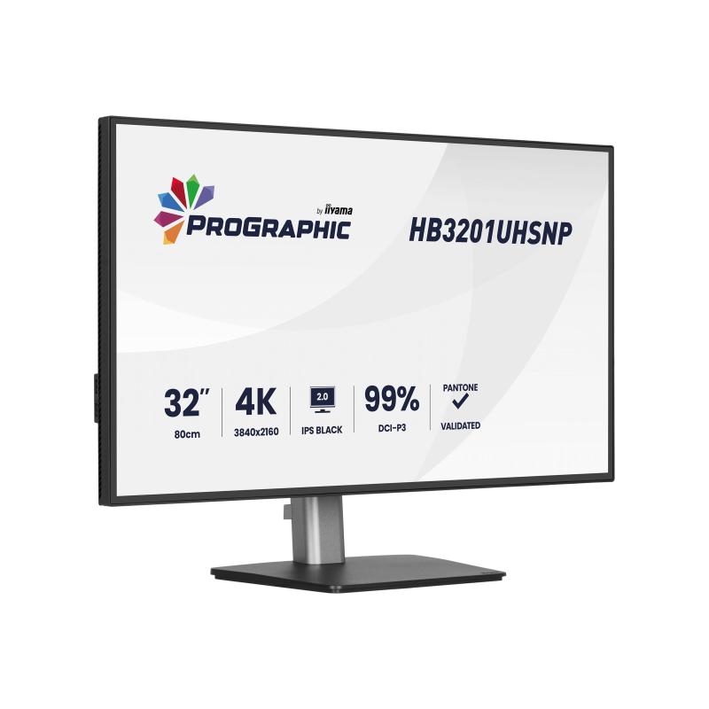 Iiyama Monitor ProGraphic HB3201UHSNP-B1 HB3201UHSNPB1 (HB3201UHSNP-B1)