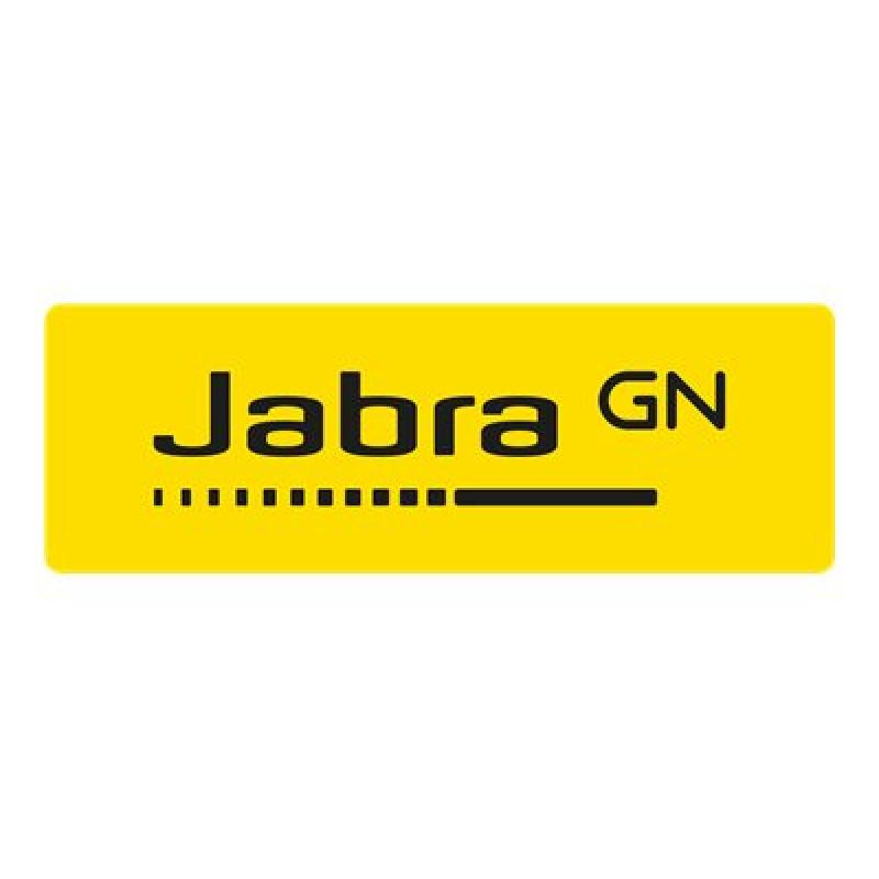Jabra Evolve 20SE MS stereo Headset On-Ear OnEar (4999-823-369) (4999823369)
