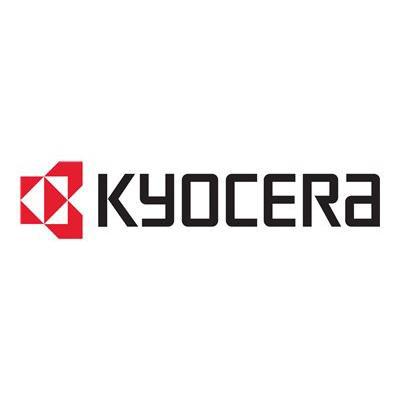 Kyocera Developer DV-520K DV520K Black Schwarz (302HJ93052)