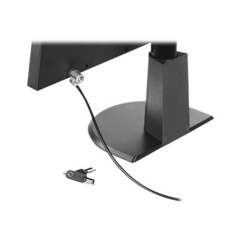 Lenovo MicroSaver Security Cable Lock (73P2582)