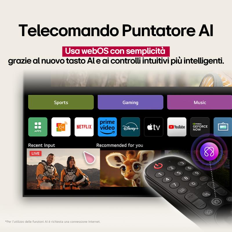 LG TV QNED AI 43QNED70A6A API LGAPI LG API (43QNED70A6A.API)