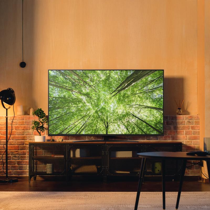 LG TV NanoCell AI 50NANO81A6A (50NANO81A6A API) LGAPI) LG API)