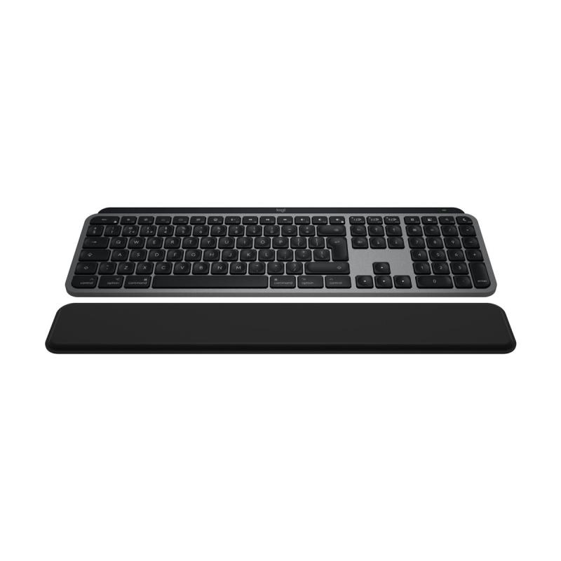 Logitech Master Series MX Keys S Combo for Mac DE (920-012840) (920012840)