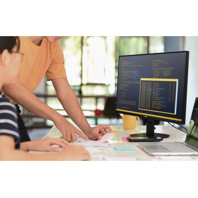 Philips Monitor B-Line BLine 24B2N2200 00 (24B2N2200/00)