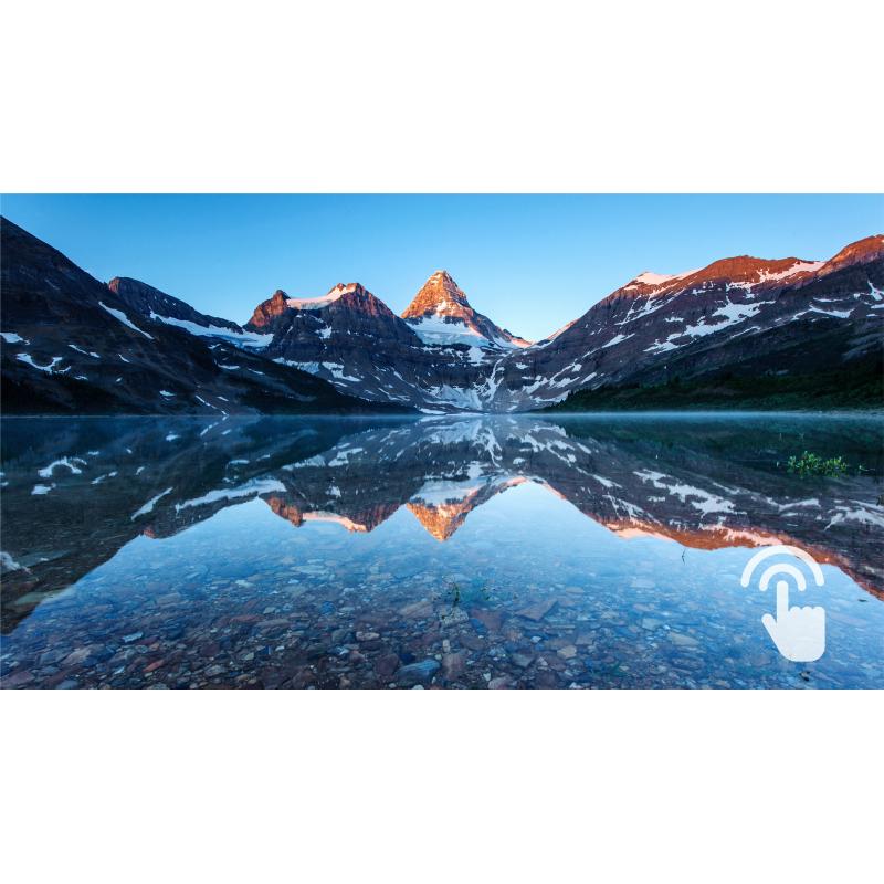 Philips Monitor B-Line BLine Touch 222B9TA 00 (222B9TA/00)