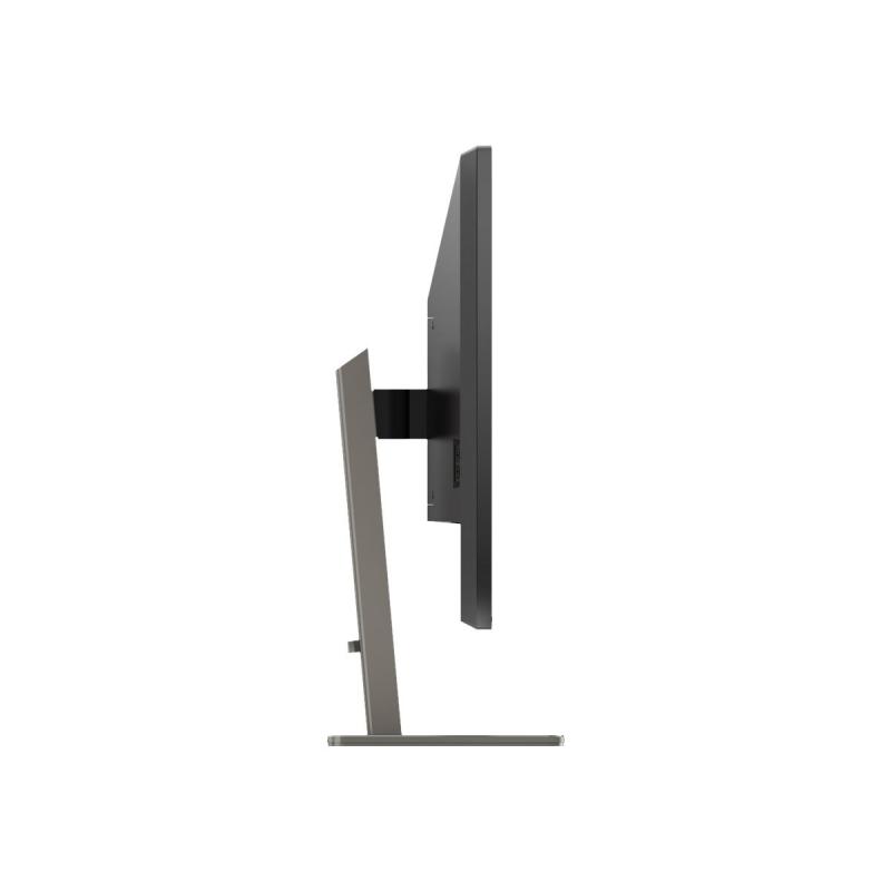 Philips Monitor P-line Pline 439P1 00 (439P1/00)