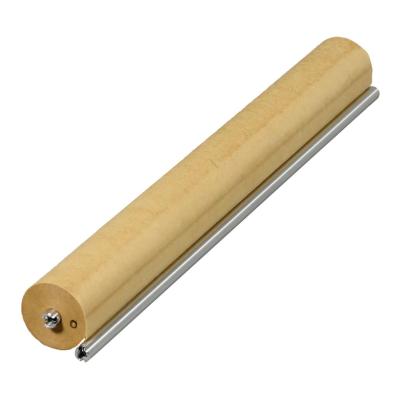 Ricoh Fuser Cleaning Web (AE045069)