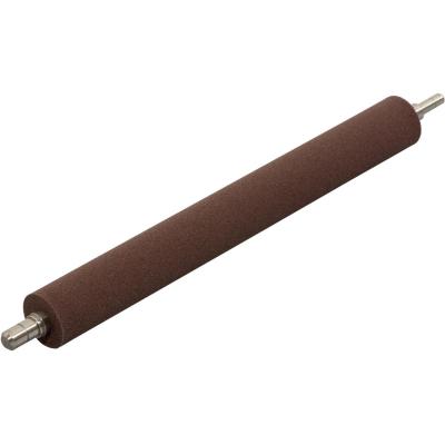 Ricoh Roller (AE010054)