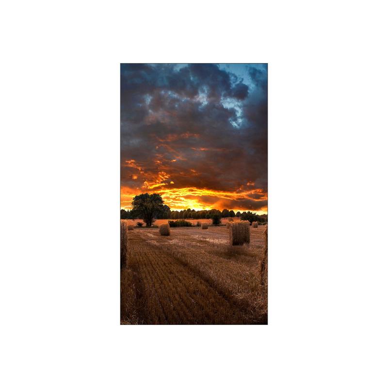 Samsung Digital Signage Video Wall VM55B-U VM55BU (LH55VMBUBGBXEN)