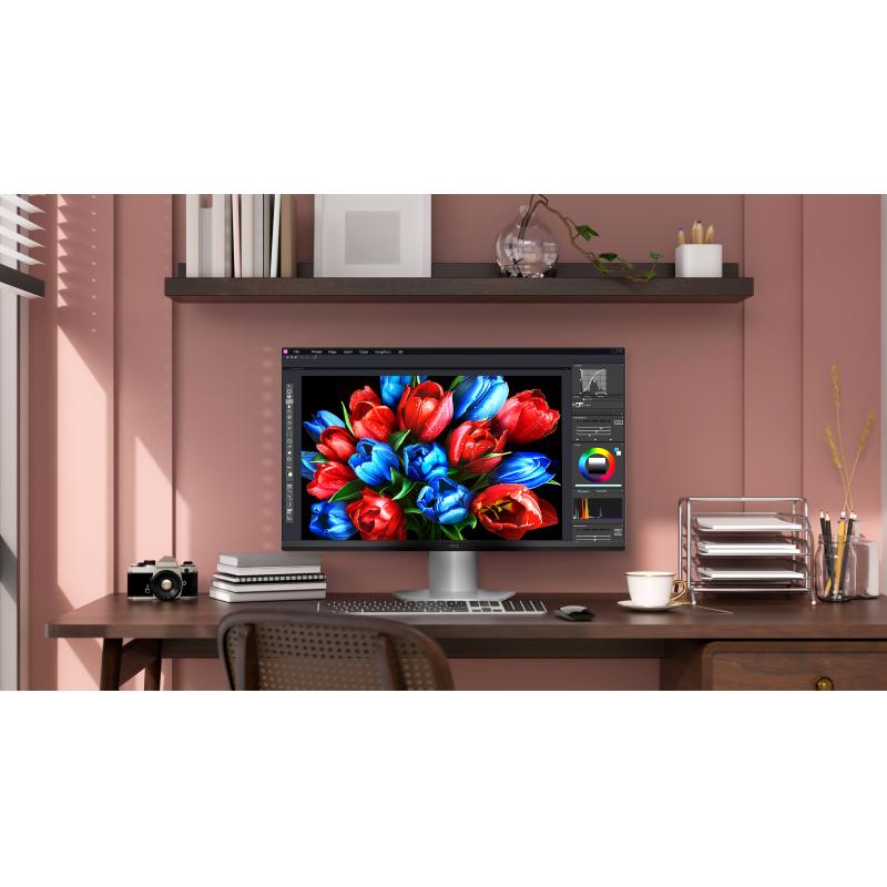 TCL Monitor (25G54)