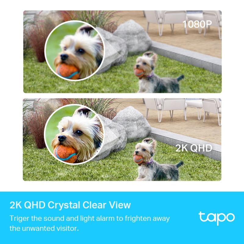 TP-LINK TPLINK IP-Kamera IPKamera Tapo C420S1 (TAPO C420S1)